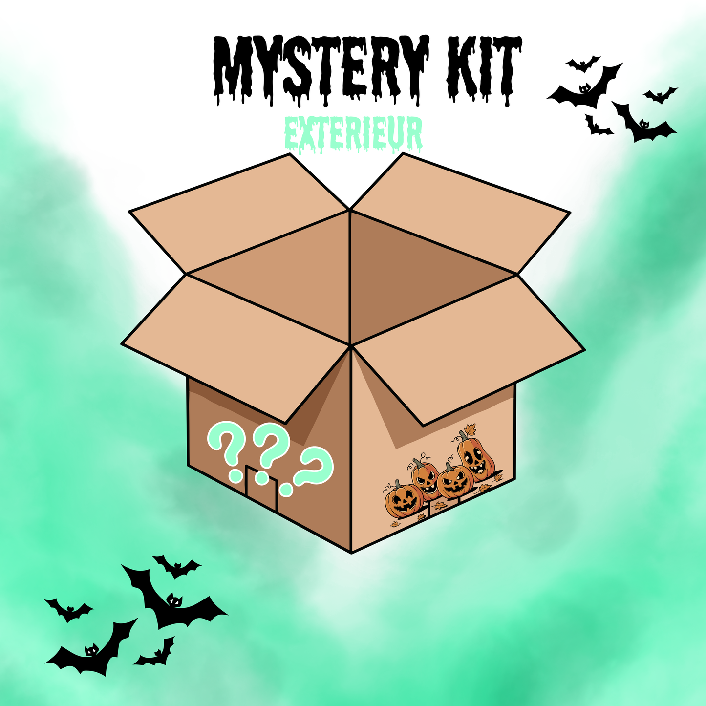 Mystery Kit Exterieur